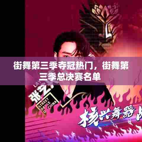 街舞第三季夺冠热门，街舞第三季总决赛名单 