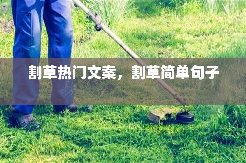 割草热门文案，割草简单句子 