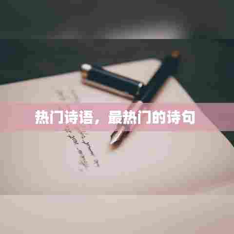 热门诗语，最热门的诗句 