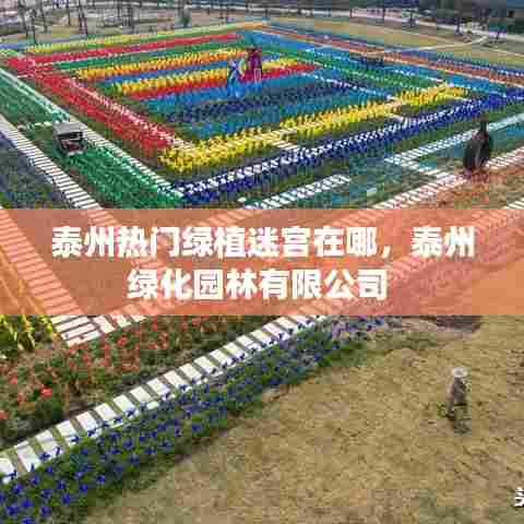 泰州热门绿植迷宫在哪,泰州绿化园林有限公司