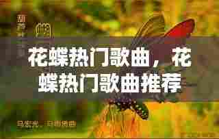花蝶热门歌曲，花蝶热门歌曲推荐 