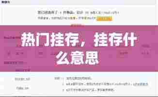 热门挂存，挂存什么意思 