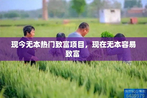 现今无本热门致富项目，现在无本容易致富 