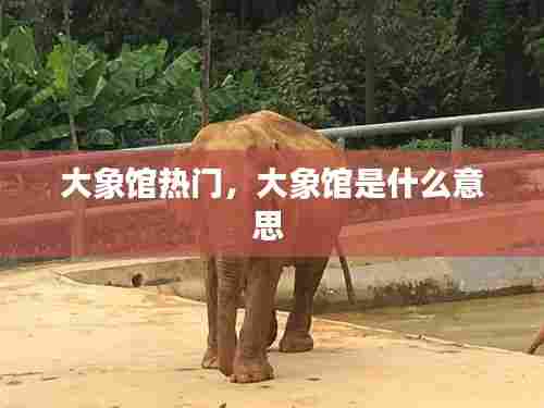 大象馆热门，大象馆是什么意思 