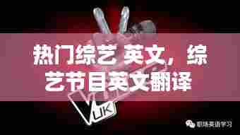 热门综艺 英文，综艺节目英文翻译 