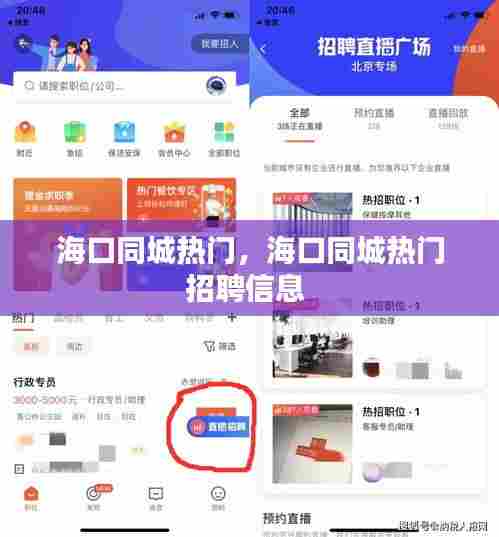 海口同城热门,海口同城热门招聘信息