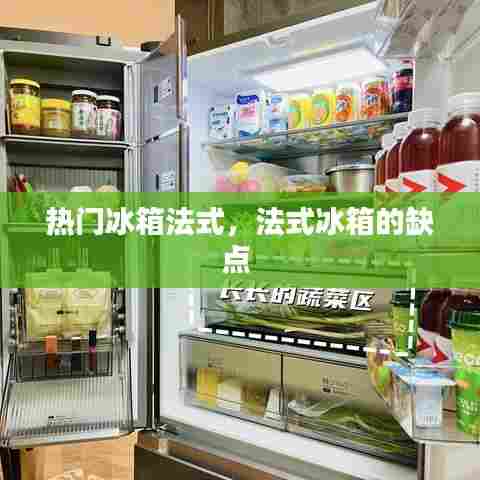 热门冰箱法式，法式冰箱的缺点 