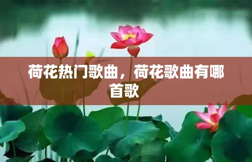 荷花热门歌曲，荷花歌曲有哪首歌 