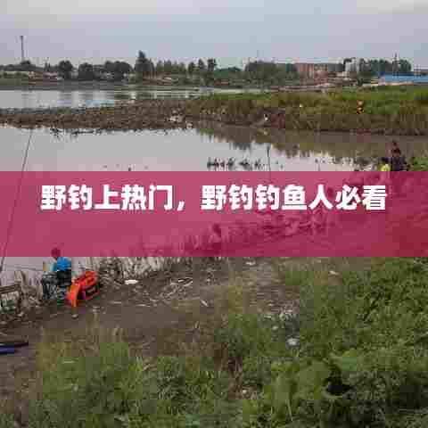 野钓上热门，野钓钓鱼人必看 