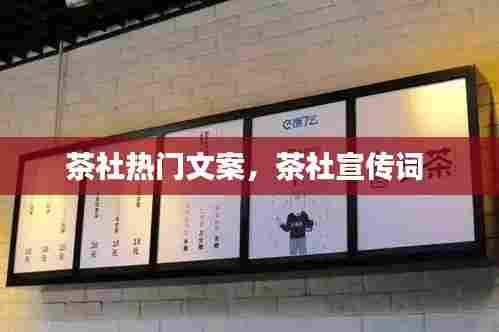 茶社热门文案，茶社宣传词 