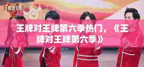 王牌对王牌第六季热门，《王牌对王牌第六季》 