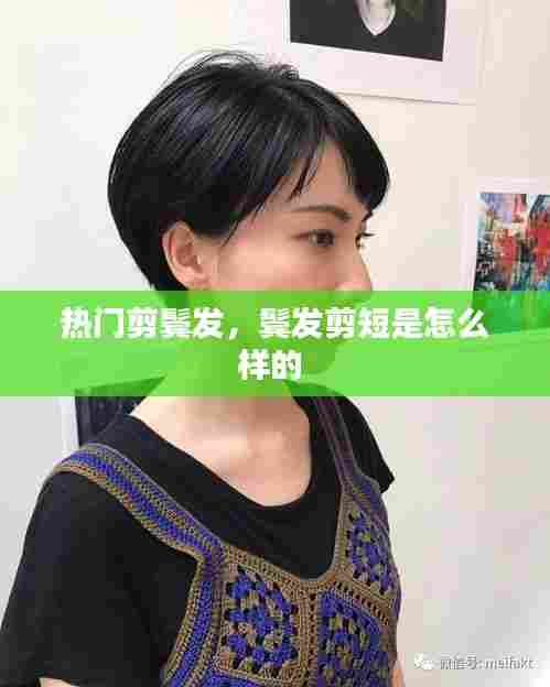 热门剪鬓发,鬓发剪短是怎么样的