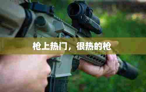 枪上热门，很热的枪 