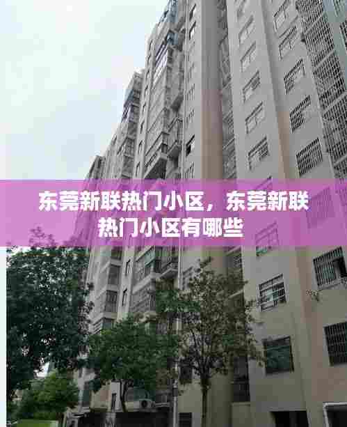 东莞新联热门小区，东莞新联热门小区有哪些 