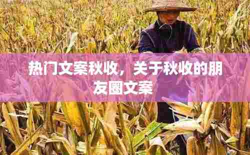 热门文案秋收，关于秋收的朋友圈文案 