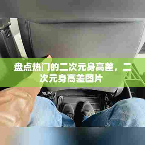 盘点热门的二次元身高差，二次元身高差图片 