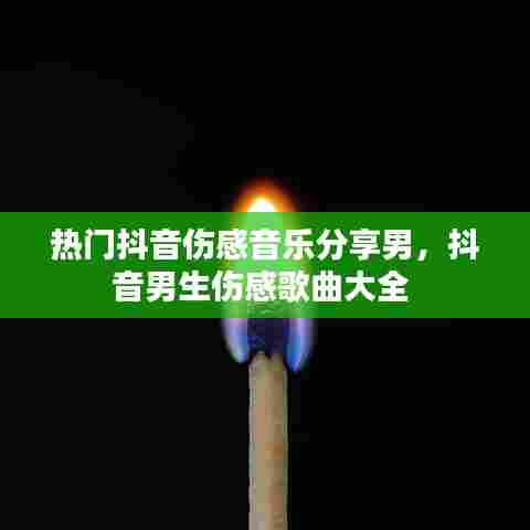 热门抖音伤感音乐分享男，抖音男生伤感歌曲大全 