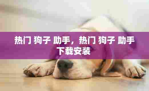 热门 狗子 助手，热门 狗子 助手下载安装 