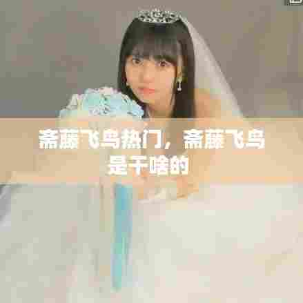 斋藤飞鸟热门，斋藤飞鸟是干啥的 
