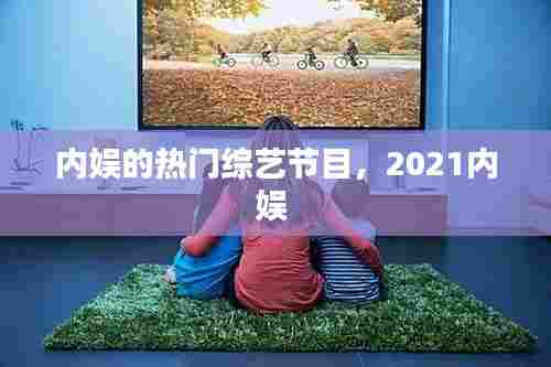 内娱的热门综艺节目，2021内娱 