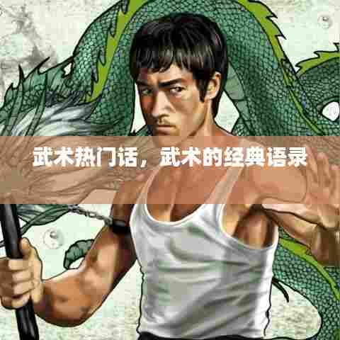 武术热门话，武术的经典语录 