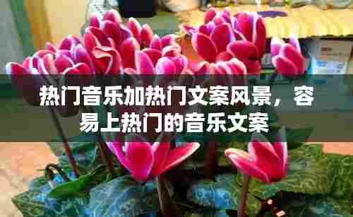 热门音乐加热门文案风景，容易上热门的音乐文案 