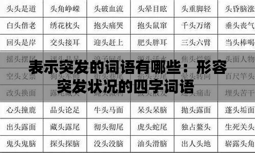 表示突发的词语有哪些：形容突发状况的四字词语 