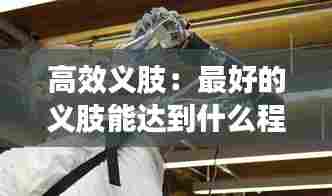 高不成低不就 第7页