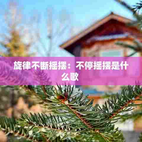 旋律不断摇摆：不停摇摆是什么歌 