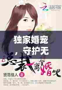 独家婚宠，守护无防盗的爱