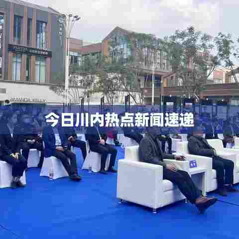 今日川内热点新闻速递
