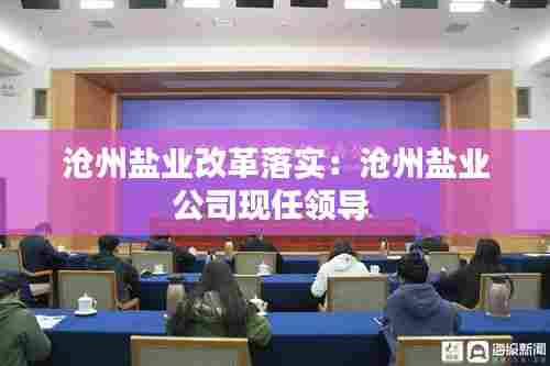 沧州盐业改革落实：沧州盐业公司现任领导 