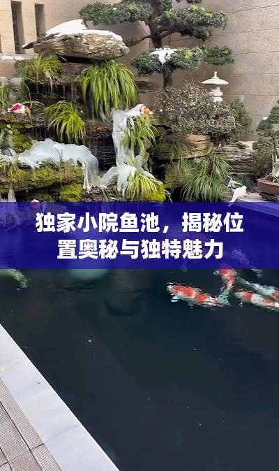 独家小院鱼池，揭秘位置奥秘与独特魅力