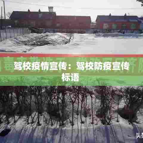 驾校疫情宣传：驾校防疫宣传标语 