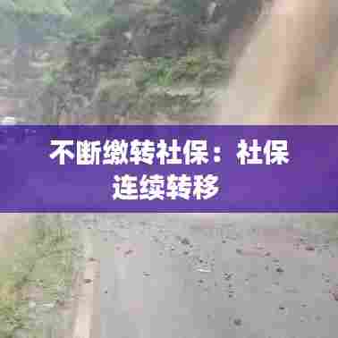 不断缴转社保:社保连续转移