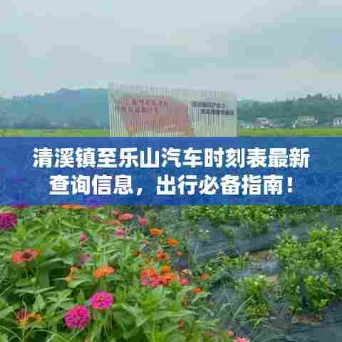 清溪镇至乐山汽车时刻表最新查询信息，出行必备指南！