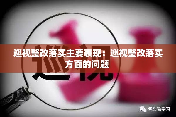 巡视整改落实主要表现：巡视整改落实方面的问题 