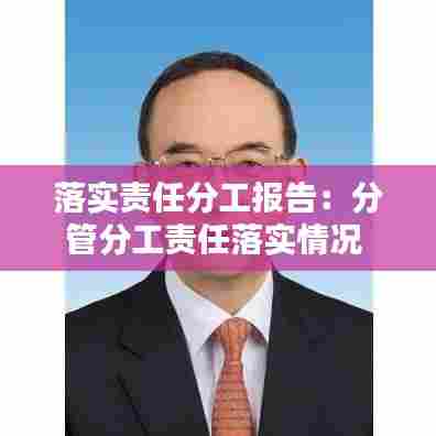 落实责任分工报告：分管分工责任落实情况 