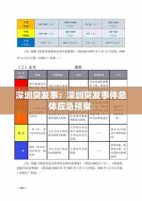 深圳突发事：深圳突发事件总体应急预案 
