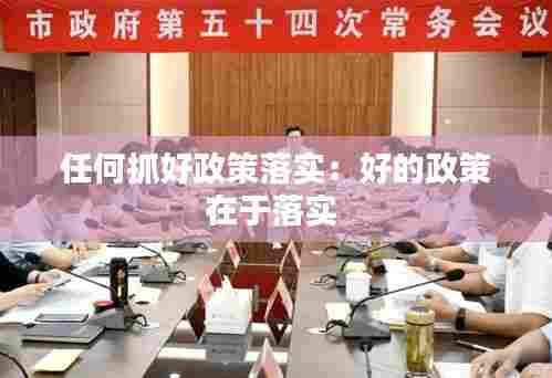 任何抓好政策落实：好的政策在于落实 