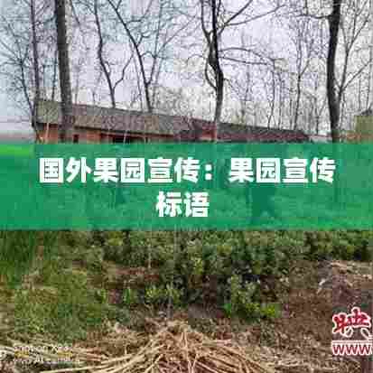 国外果园宣传:果园宣传标语