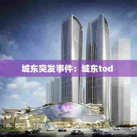 城东突发事件：城东tod 