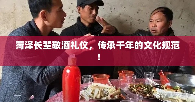 菏泽长辈敬酒礼仪，传承千年的文化规范！