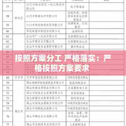 按照方案分工 严格落实：严格按照方案要求 