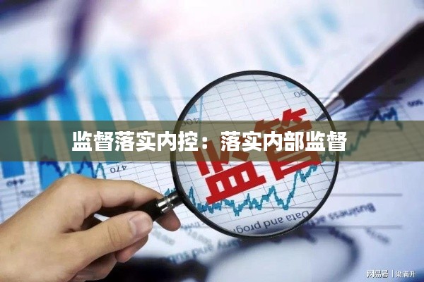 监督落实内控:落实内部监督