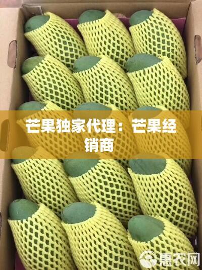 芒果独家代理：芒果经销商 