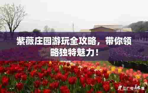 紫薇庄园游玩全攻略,带你领略独特魅力!