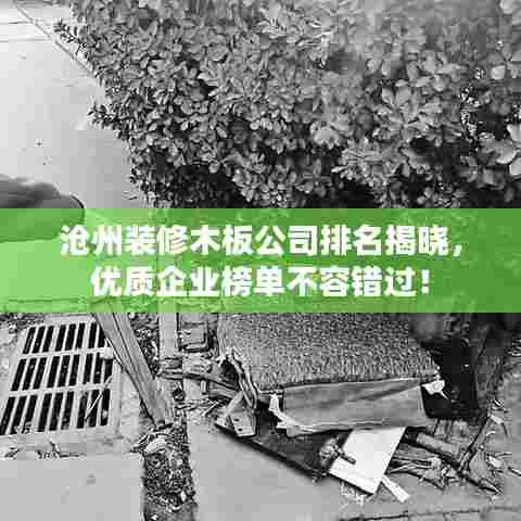 沧州装修木板公司排名揭晓，优质企业榜单不容错过！