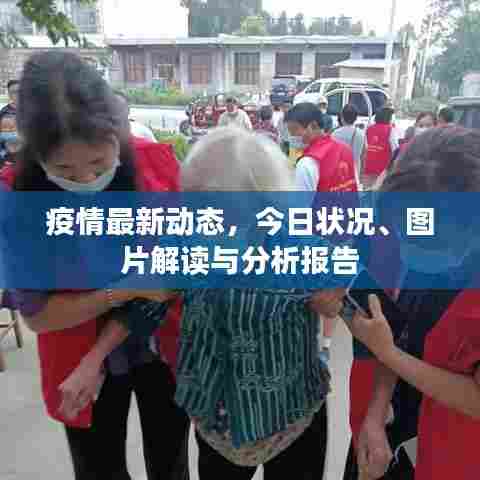 疫情最新动态，今日状况、图片解读与分析报告