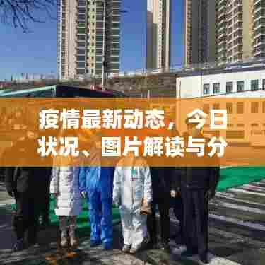 疫情最新动态,今日状况、图片解读与分析报告